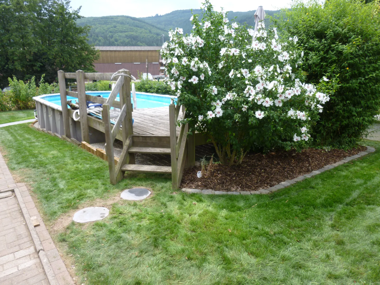 Une plantation d’hortensia — Urmatt