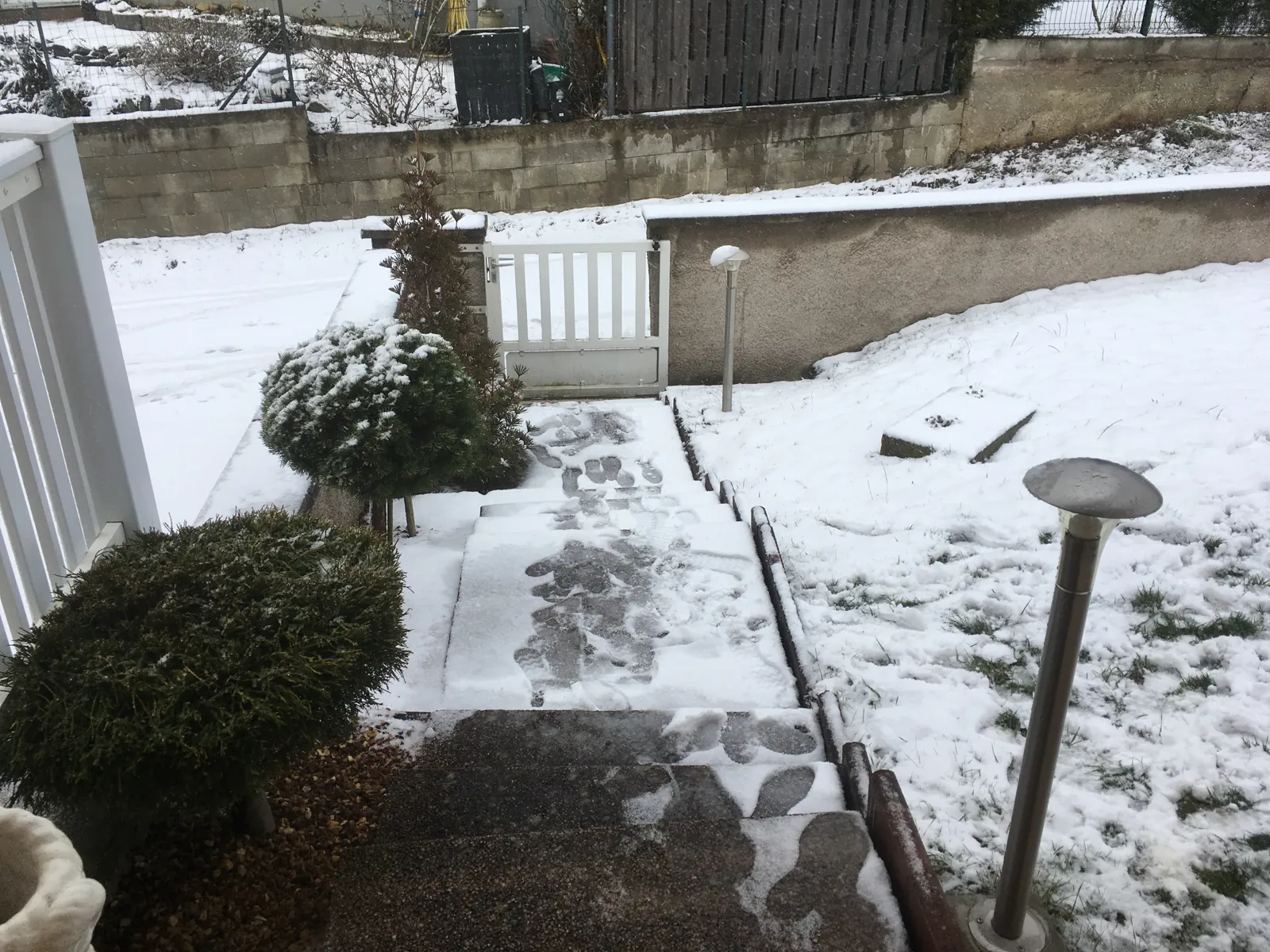 Jardin et arbustes sous la neige en hiver