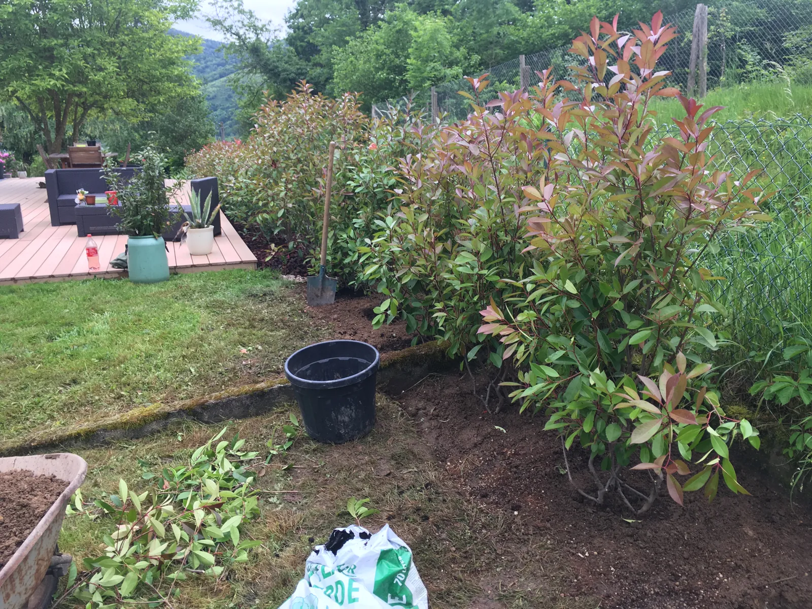Plantations et massifs dans un jardin à Wisches