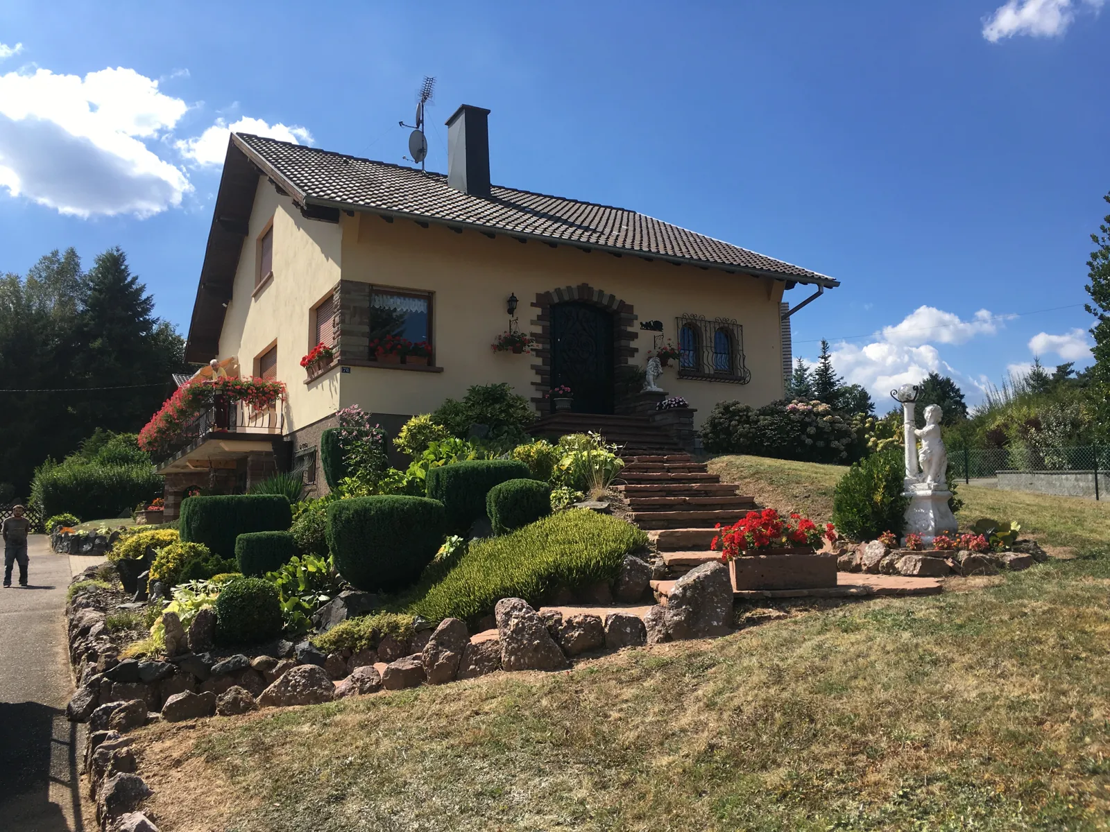 Jardin paysager, arbustes et escalier devant une maison à Urmatt