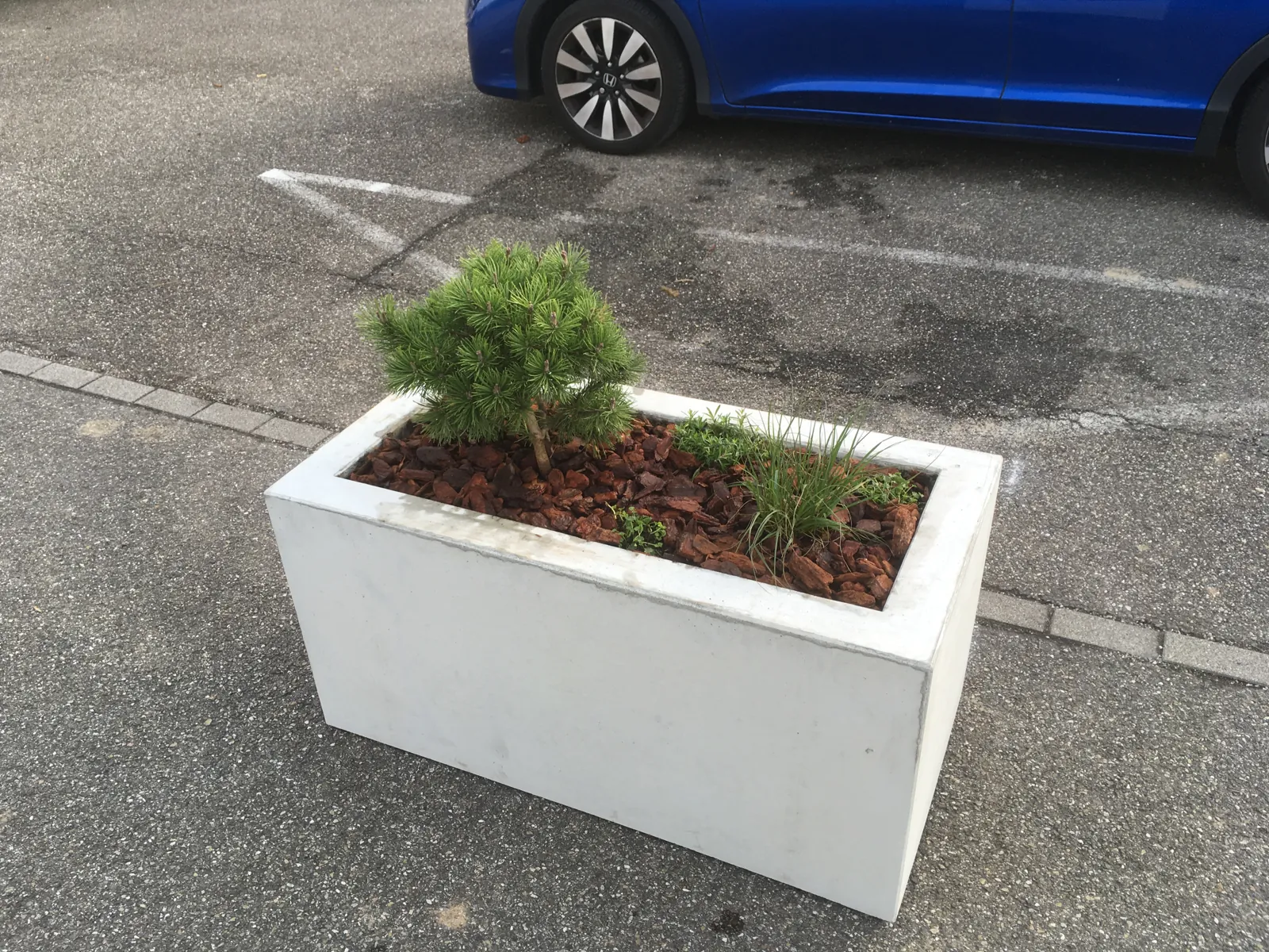 Une jardinière fleurie — Bas-Rhin