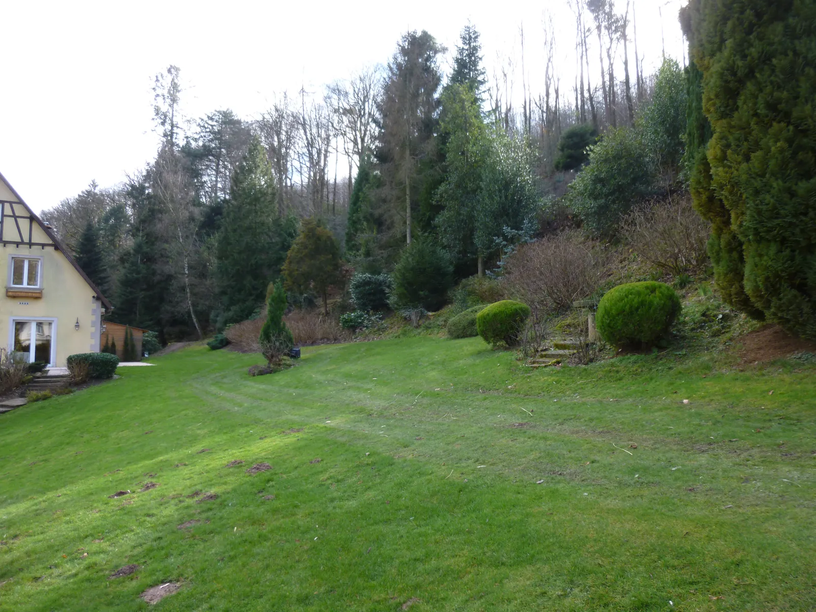 Pelouse et espaces verts entretenus à Ottrott