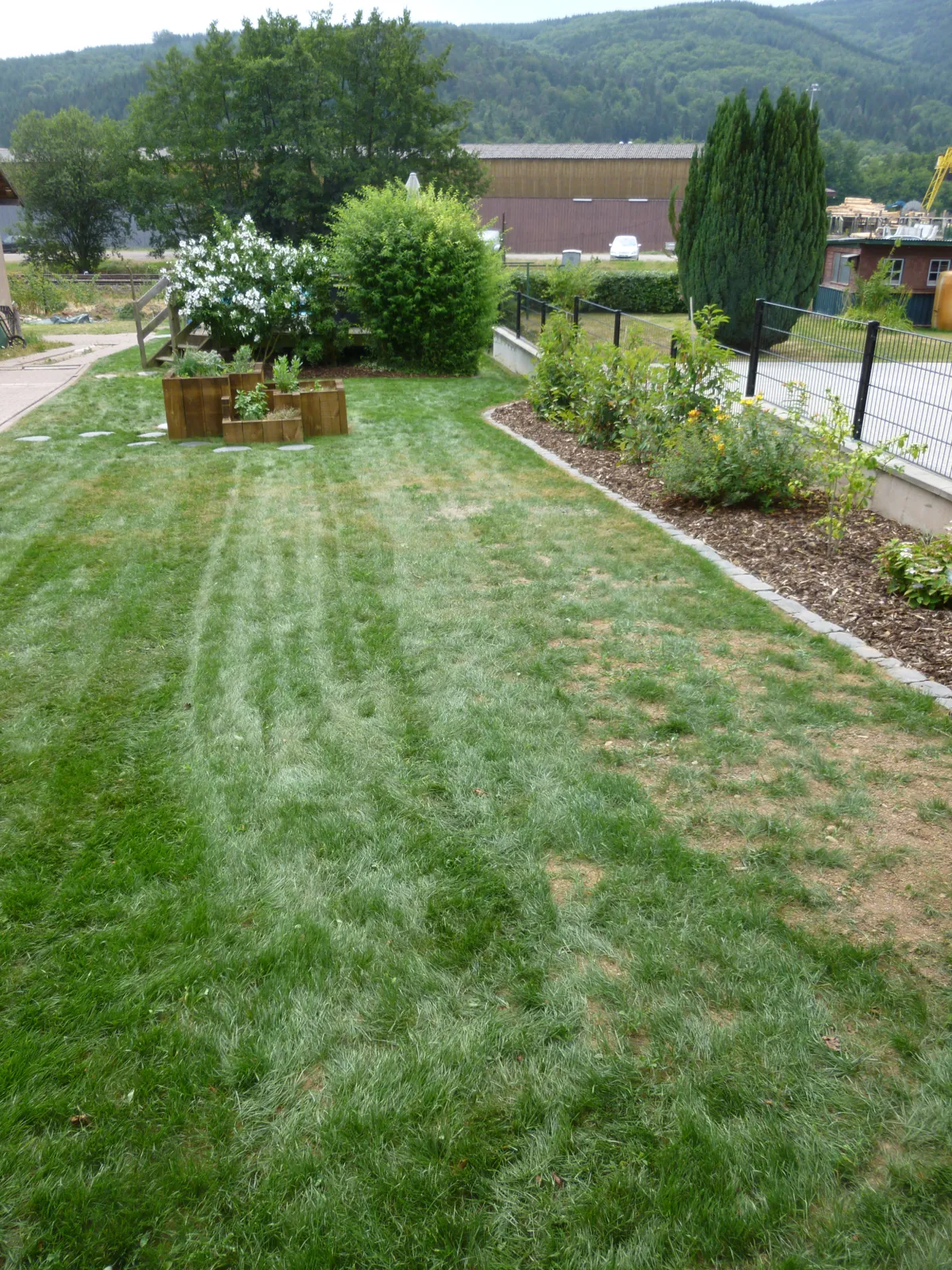 Pelouse tondue et circulations dans un jardin à Urmatt
