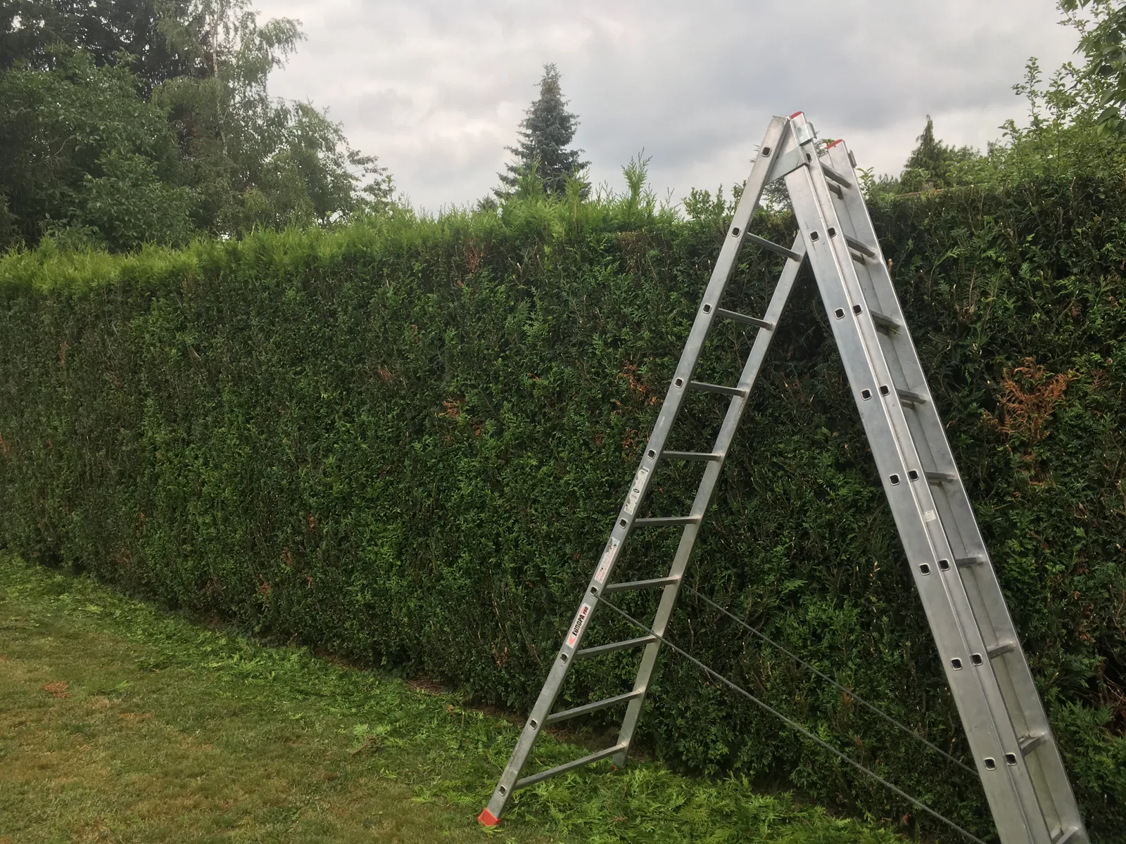 Entretenir une haie — Bas-Rhin