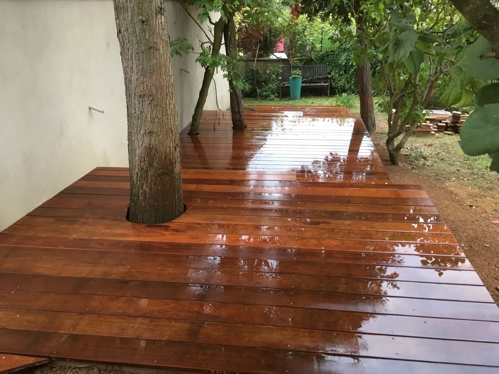Lames de terrasse en bois autour d’un arbre à Strasbourg