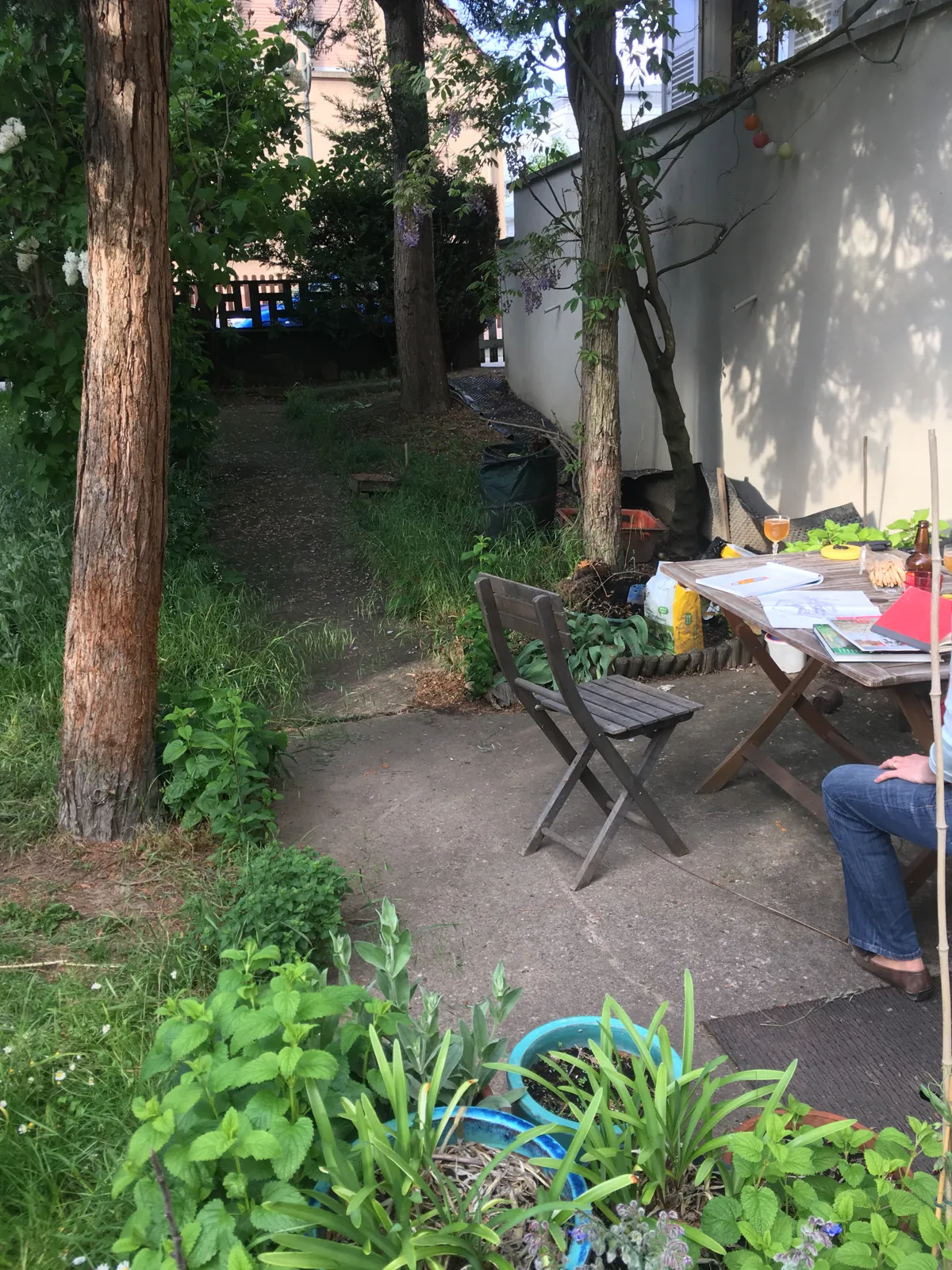 Abords de la maison avant création de la terrasse à Strasbourg